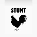 View Stuntcock (stunttcock) OnlyFans 49 Photos and 32 Videos gallery 

 profile picture